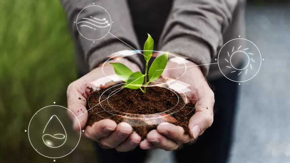 Empreendedorismo Verde Sustentabilidade